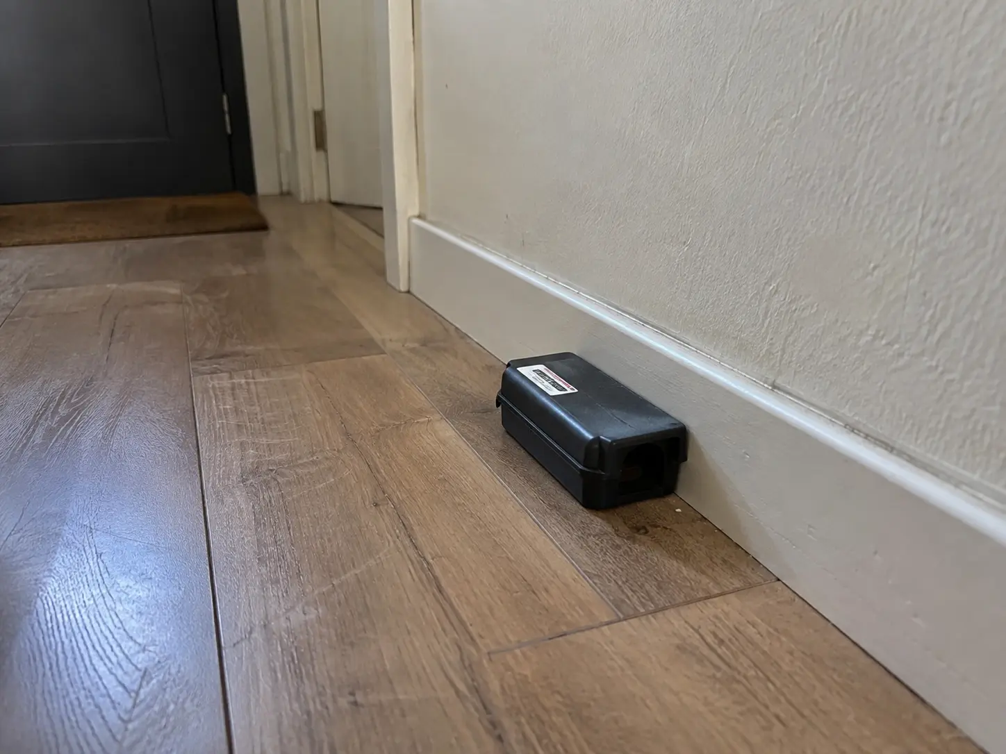 Dispositif anti-nuisibles discret posé le long d'une plinthe